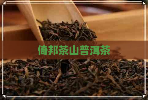 倚邦茶山普洱茶