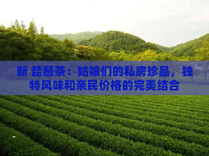 新 琵琶茶：姑娘们的私房珍品，独特风味和亲民价格的完美结合