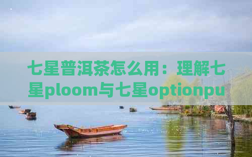 七星普洱茶怎么用：理解七星ploom与七星optionpurple,以及其5种用法