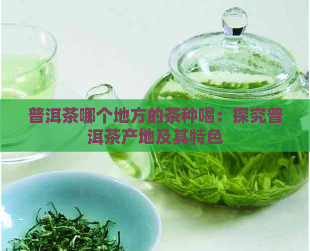 普洱茶哪个地方的茶种喝：探究普洱茶产地及其特色