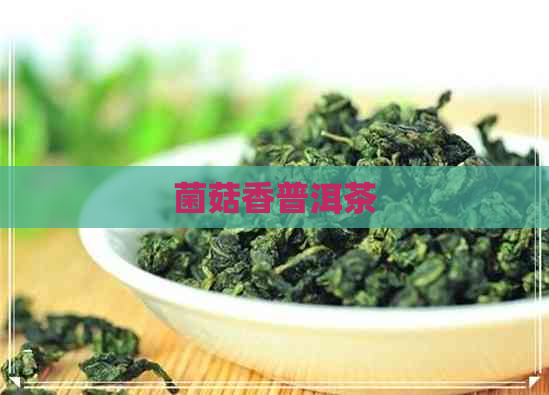 菌菇香普洱茶