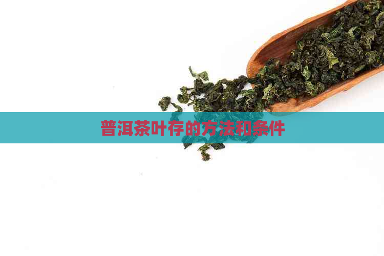 普洱茶叶存的方法和条件