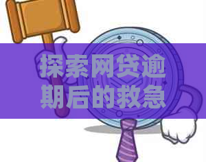 探索网贷逾期后的救急资金来源：哪些平台能提供借款服务？