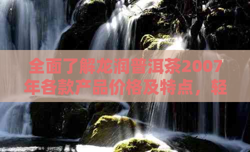 全面了解龙润普洱茶2007年各款产品价格及特点，轻松选购适合您的好茶