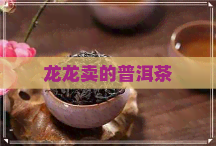 龙龙卖的普洱茶