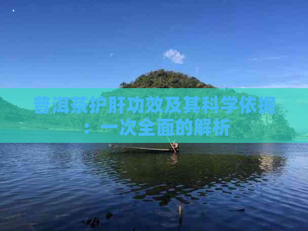 普洱茶护肝功效及其科学依据：一次全面的解析