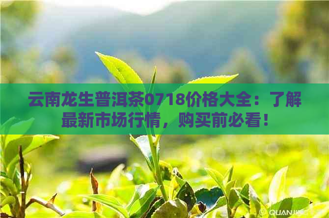 云南龙生普洱茶0718价格大全：了解最新市场行情，购买前必看！