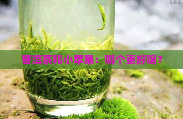 普洱茶和小苹果：哪个更好喝？