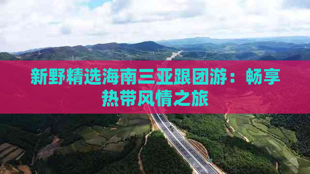 新野精选海南三亚跟团游：畅享热带风情之旅