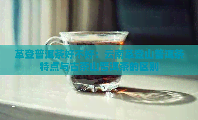 革登普洱茶好不好：云南革登山普洱茶特点与古茶山普洱茶的区别