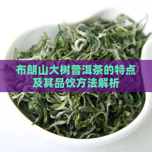 布朗山大树普洱茶的特点及其品饮方法解析