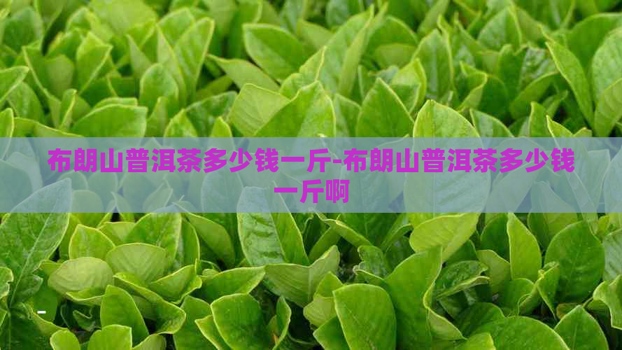 布朗山普洱茶多少钱一斤-布朗山普洱茶多少钱一斤啊