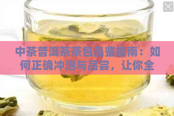 中茶普洱茶茶包品鉴指南：如何正确冲泡与品尝，让你全面了解这款茶的魅力