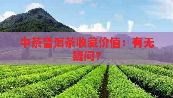 中茶普洱茶收藏价值：有无疑问？