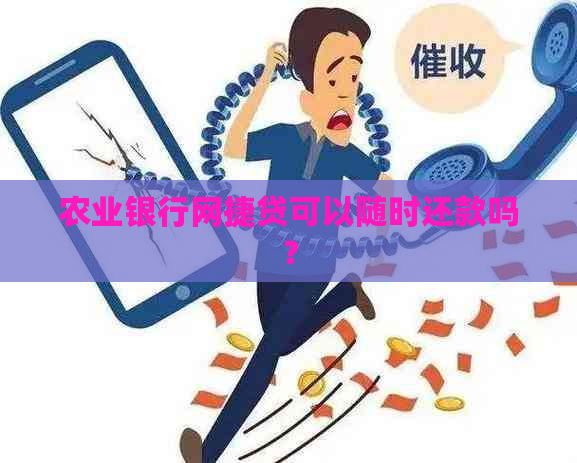 农业银行网捷贷可以随时还款吗？