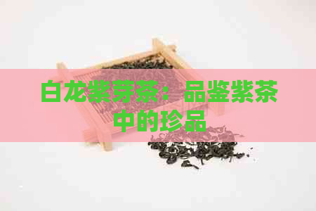 白龙紫芽茶：品鉴紫茶中的珍品