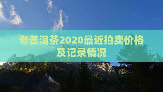 老普洱茶2020最近拍卖价格及记录情况