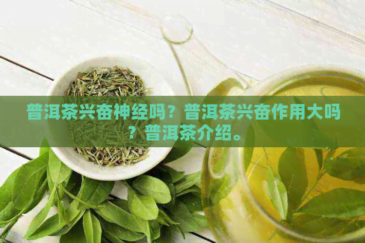 普洱茶兴奋神经吗？普洱茶兴奋作用大吗？普洱茶介绍。