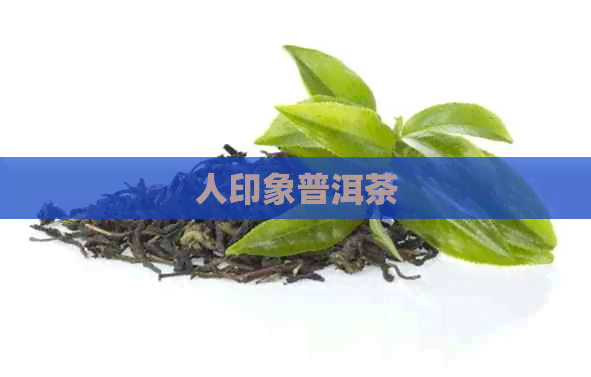 人印象普洱茶