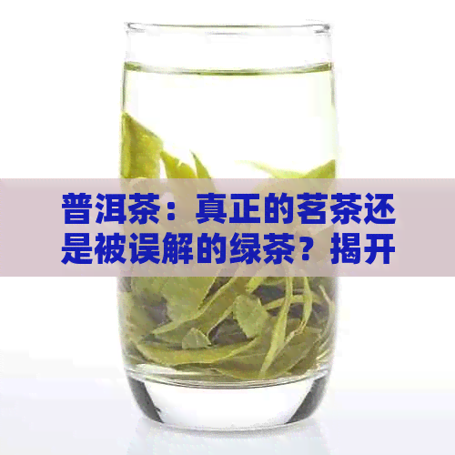 普洱茶：真正的茗茶还是被误解的绿茶？揭开它的真面目与独特魅力