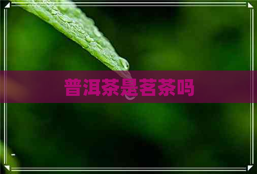 普洱茶是茗茶吗