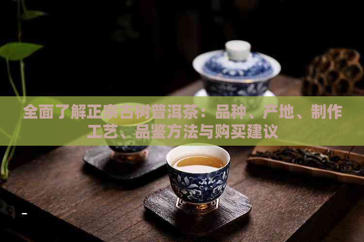 全面了解正宗古树普洱茶：品种、产地、制作工艺、品鉴方法与购买建议