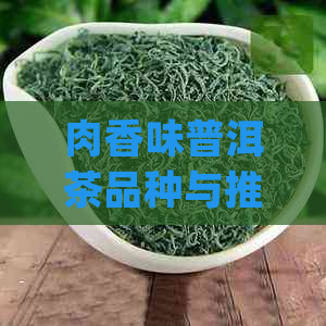 肉香味普洱茶品种与推荐：哪些牌子最值得尝试？