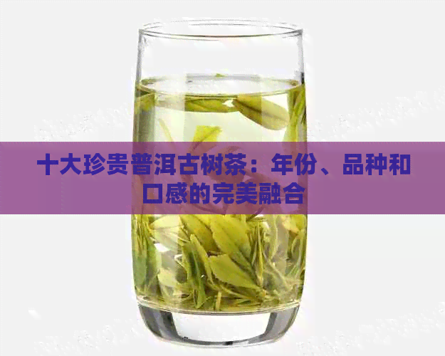 十大珍贵普洱古树茶：年份、品种和口感的完美融合