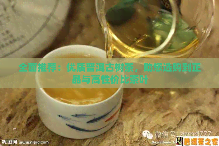 全面推荐：优质普洱古树茶，助您选购到正品与高性价比茶叶