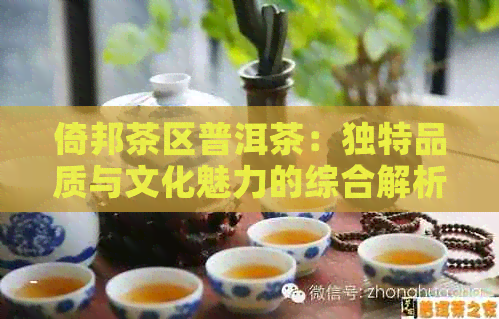 倚邦茶区普洱茶：独特品质与文化魅力的综合解析