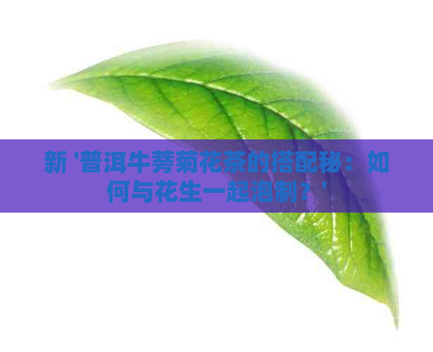 新 '普洱牛蒡菊花茶的搭配秘：如何与花生一起泡制？'