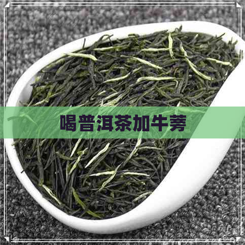 喝普洱茶加牛蒡