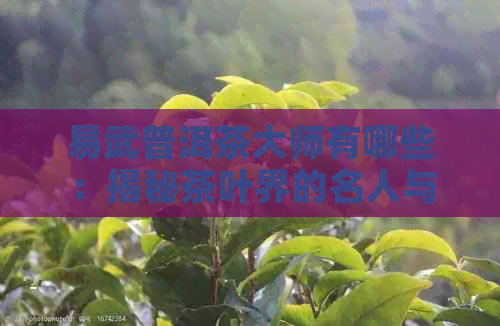 易武普洱茶大师有哪些：揭秘茶叶界的名人与名字