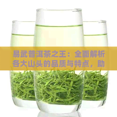 易武普洱茶之王：全面解析各大山头的品质与特点，助您轻松找到茶叶来源