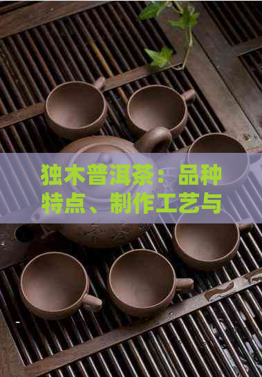 独木普洱茶：品种特点、制作工艺与品饮技巧全面解析，帮助你成为茶叶专家