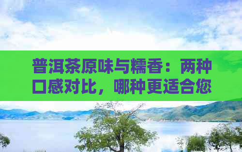 普洱茶原味与糯香：两种口感对比，哪种更适合您的口味？