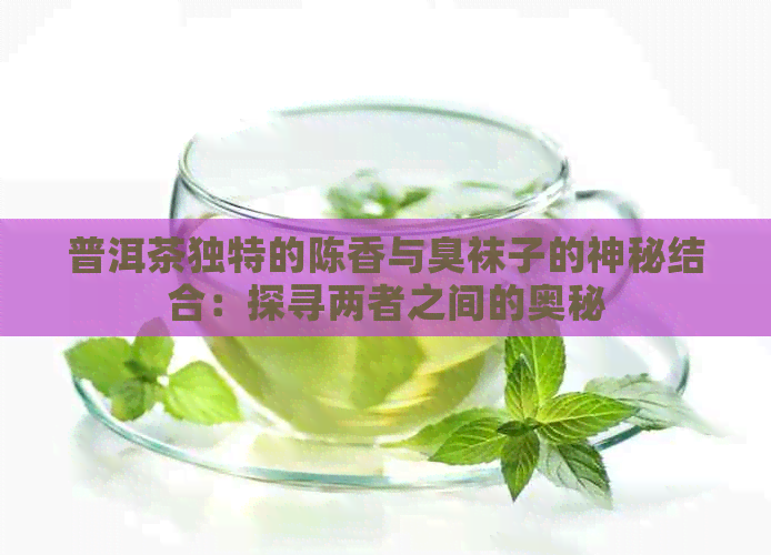 普洱茶独特的陈香与臭袜子的神秘结合：探寻两者之间的奥秘