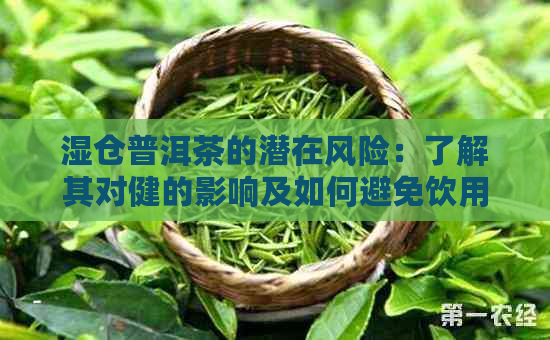 湿仓普洱茶的潜在风险：了解其对健的影响及如何避免饮用