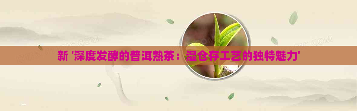 新 '深度发酵的普洱熟茶：湿仓存工艺的独特魅力'