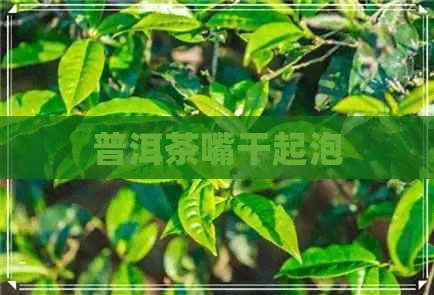 普洱茶嘴干起泡