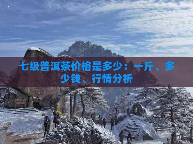 七级普洱茶价格是多少：一斤、多少钱、行情分析