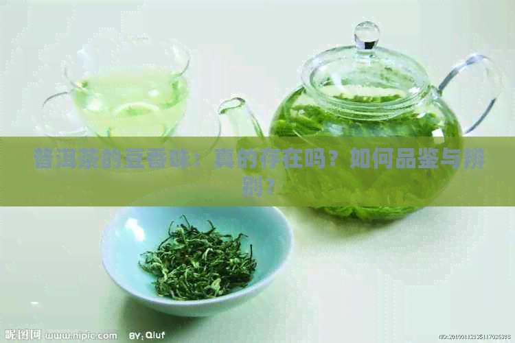 普洱茶的豆香味：真的存在吗？如何品鉴与辨别？