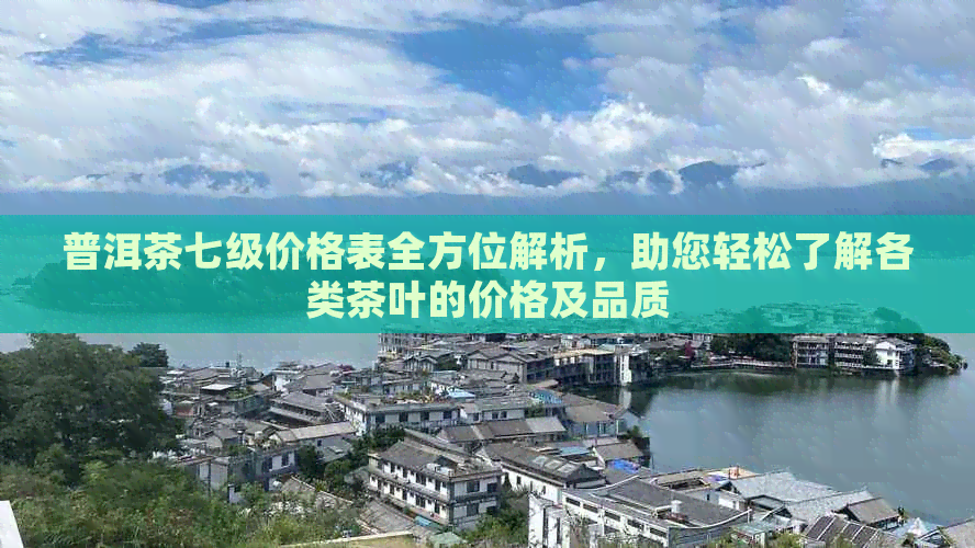 普洱茶七级价格表全方位解析，助您轻松了解各类茶叶的价格及品质