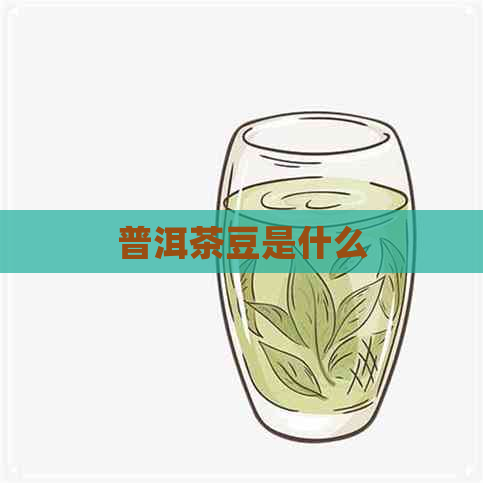 普洱茶豆是什么