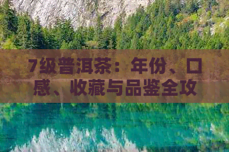 7级普洱茶：年份、口感、收藏与品鉴全攻略