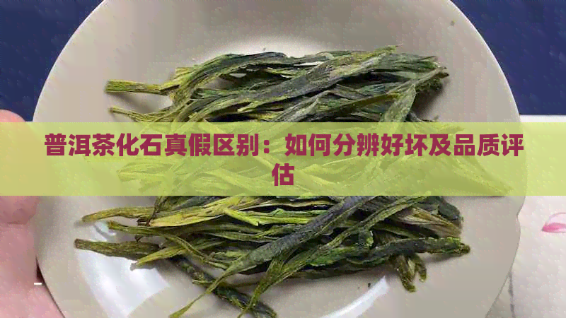 普洱茶化石真假区别：如何分辨好坏及品质评估