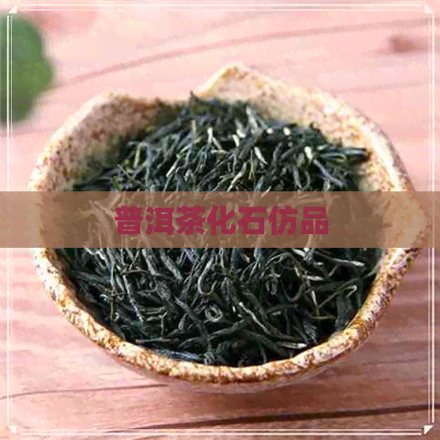 普洱茶化石仿品