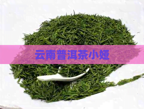 云南普洱茶小娅