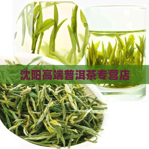 沈阳高端普洱茶专营店