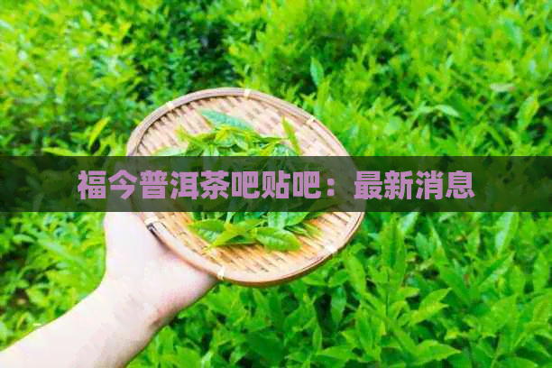 福今普洱茶吧贴吧：最新消息